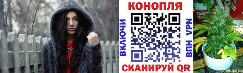Бошки Шишки Ganja  Сасово 